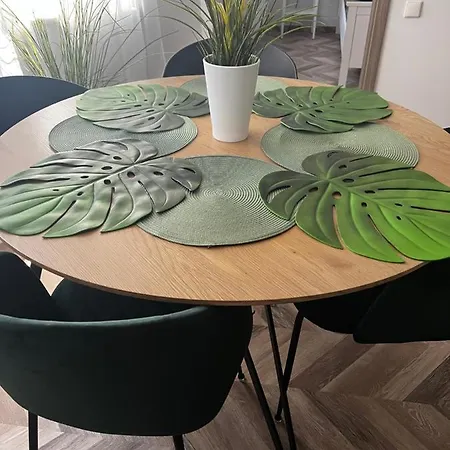 Apartamentai Turistams דירה
